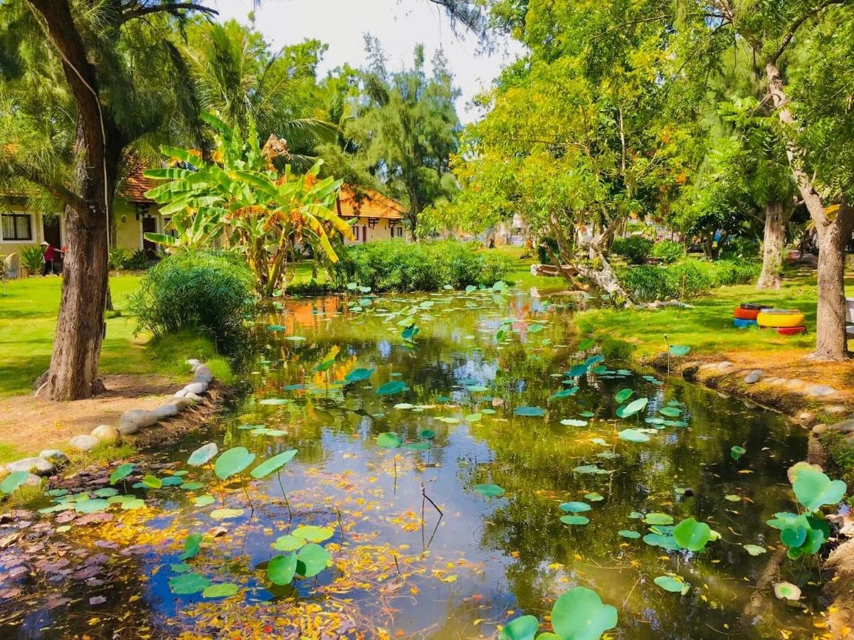 Vườn cảnh & hồ sen