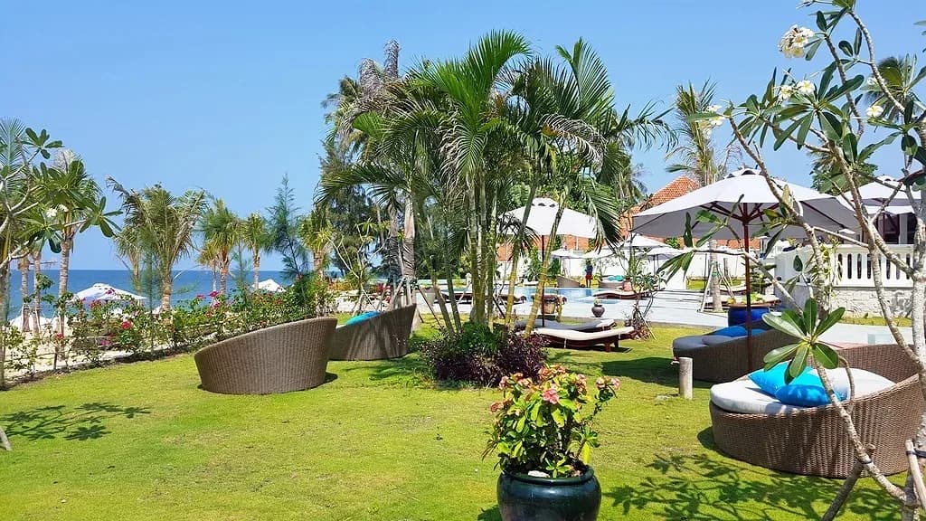 Vườn quế nhiệt đới