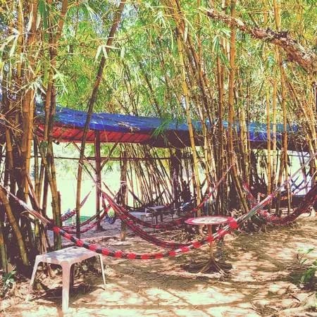 Khu hammock thư giãn