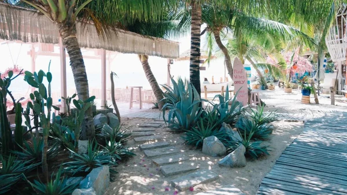 Beach Bar Pink Vibes