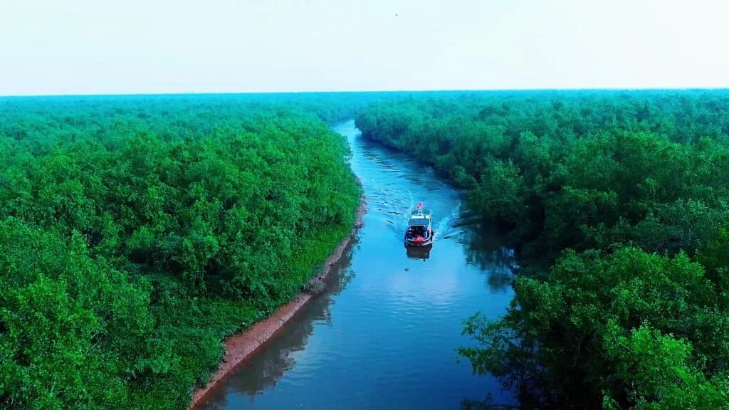 Rừng ngập mặn trù phú