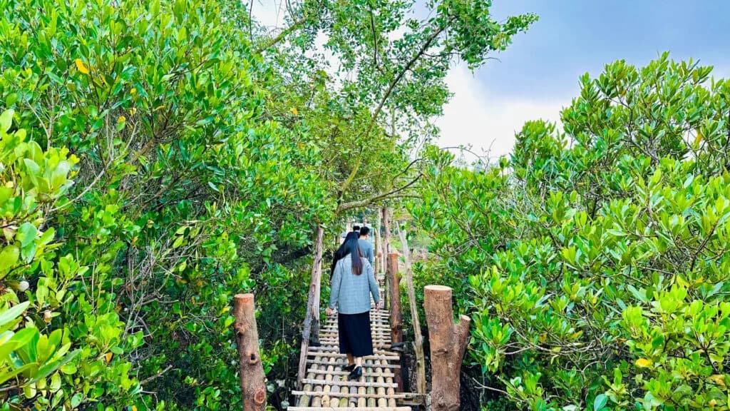 Lối dạo rừng sinh thái