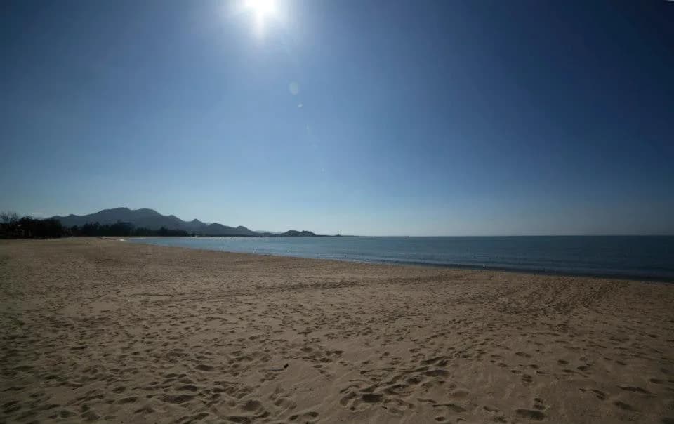 Con Gà Vàng Resort 5