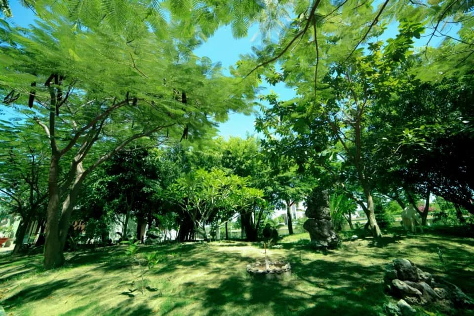 Khu vườn nhiệt đới