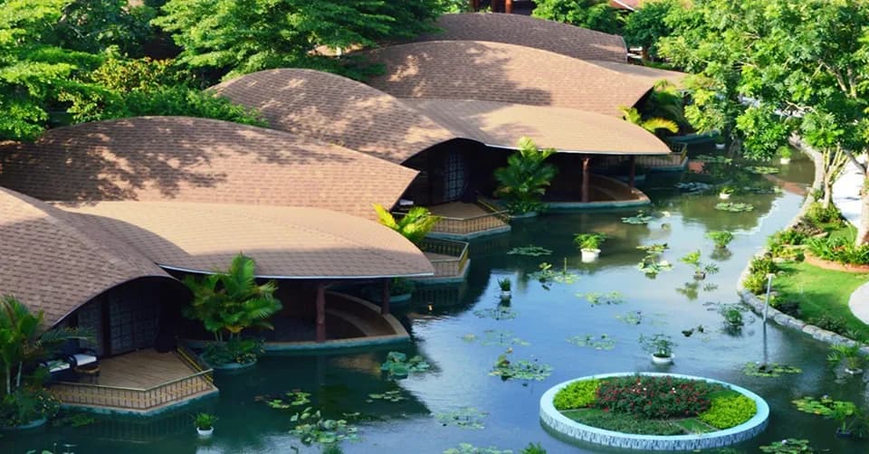Bungalow hình hoa sen