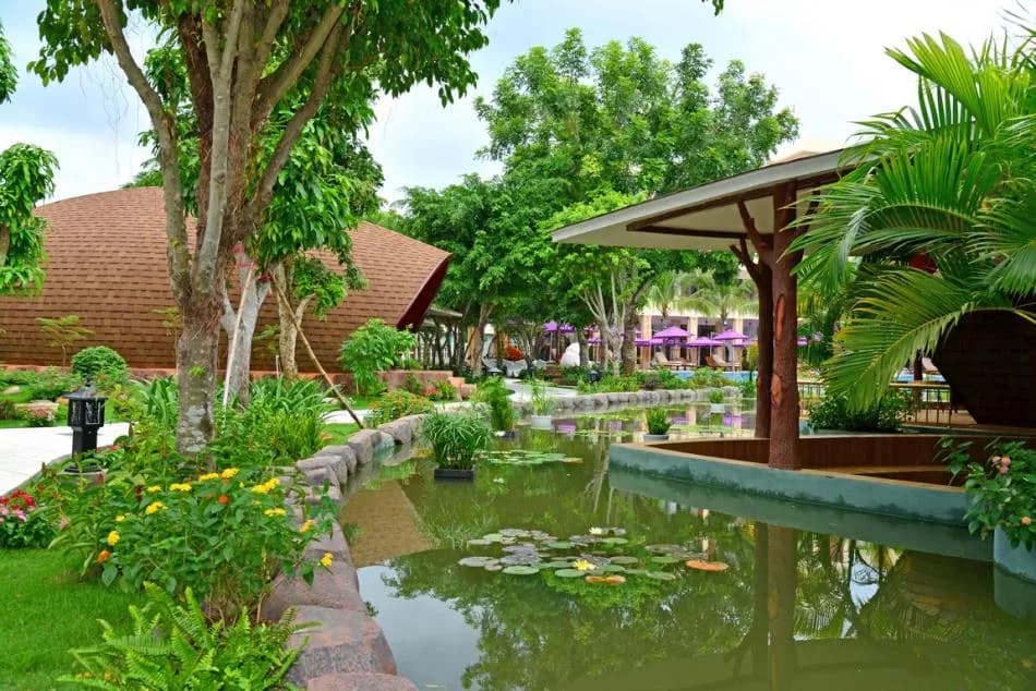 Vườn sen & hồ cảnh