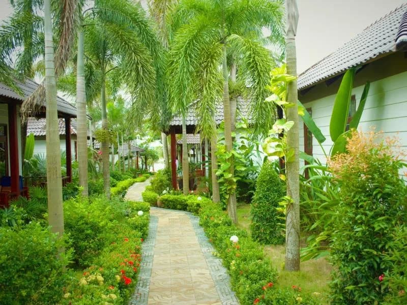 Vườn nhiệt đới xanh mát