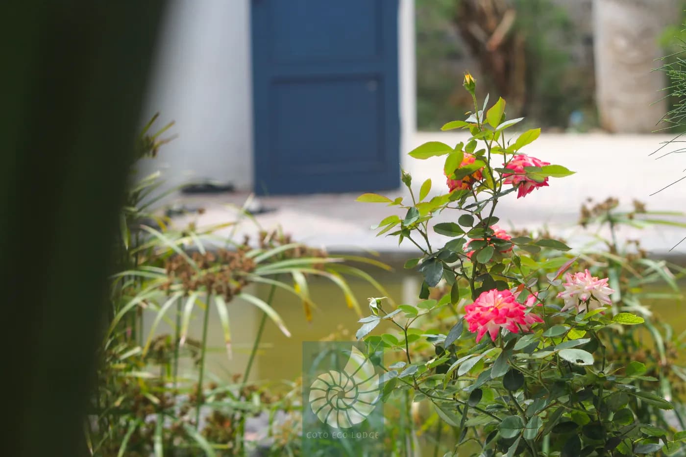Sân trong nghỉ ngơi