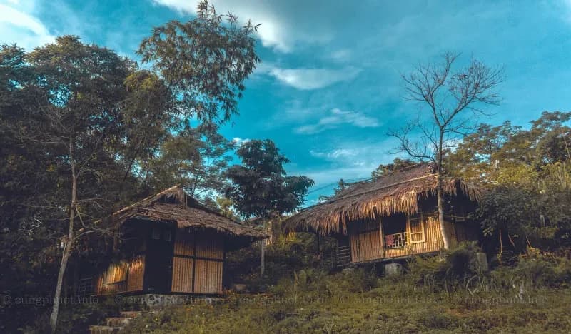 Kiến trúc tranh tre bên sườn đồi