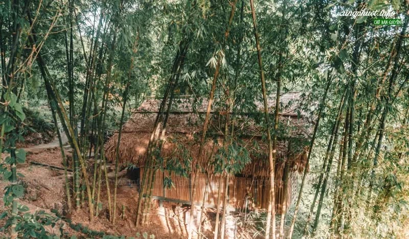 Bungalow Vườn Đồi