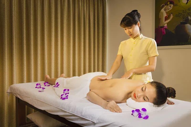 Dendro Spa