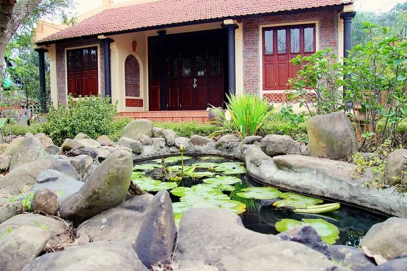 Tiểu cảnh sân vườn & hồ sen