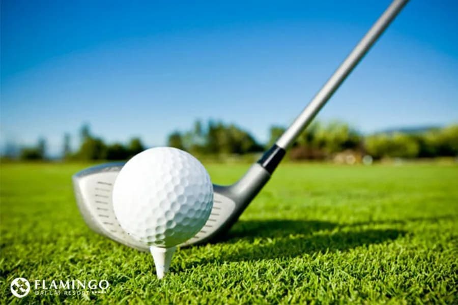 Combo Golf & Nghỉ dưỡng 2N1Đ