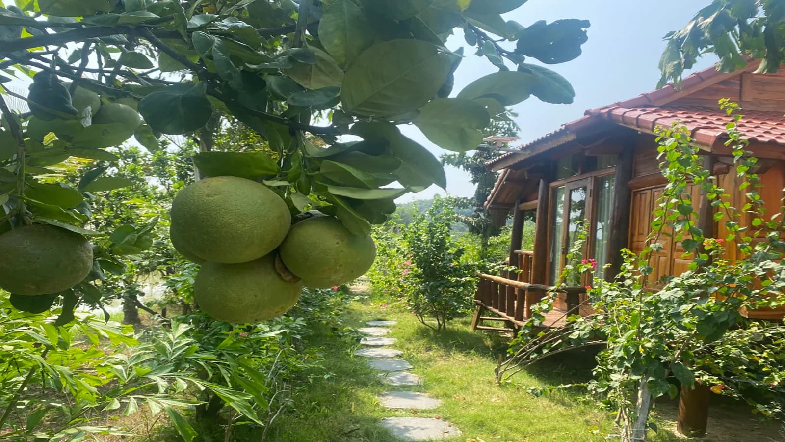 Khu vườn cây trái