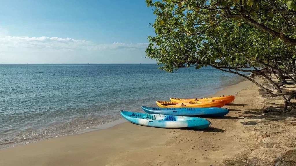 Chèo kayak & thể thao biển