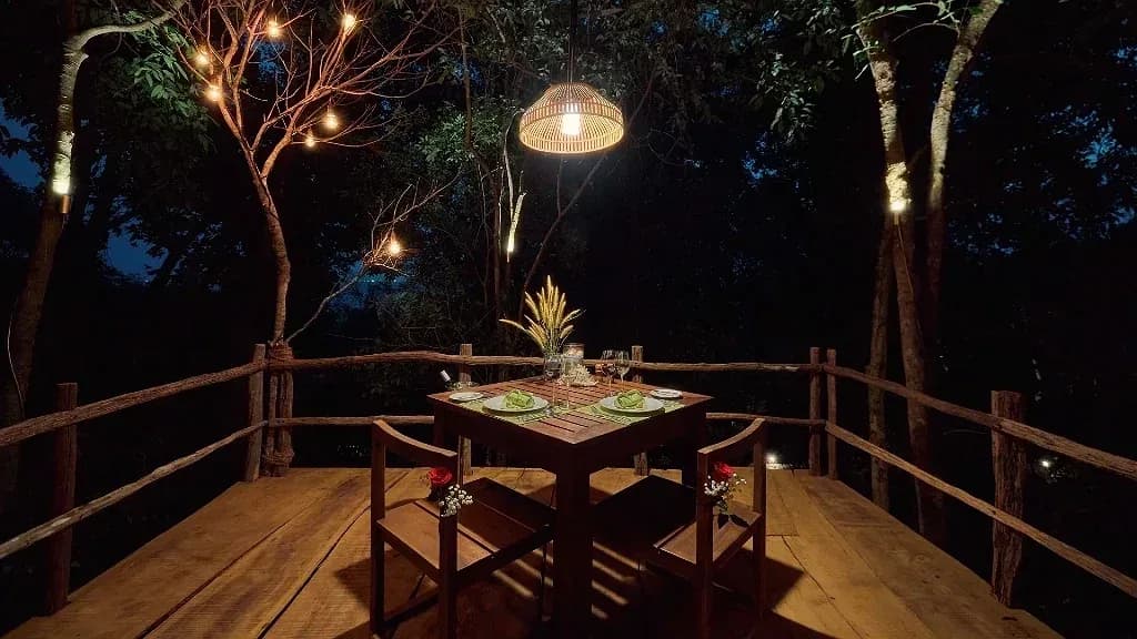 Đêm lãng mạn giữa rừng