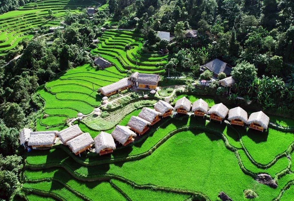 Ruộng bậc thang bao quanh khu