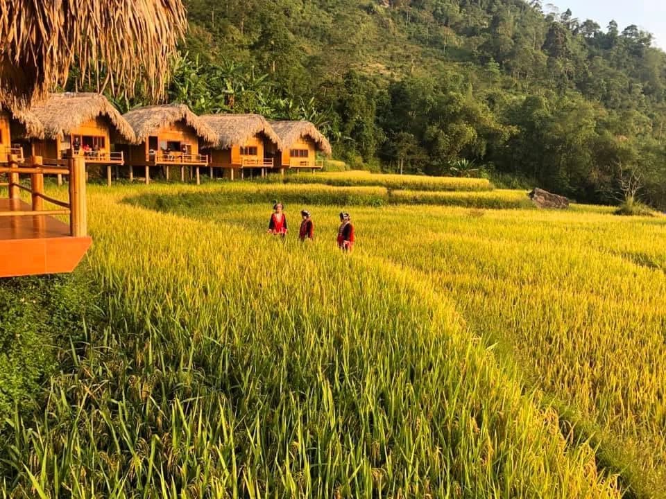 Nhà Gỗ Sang Trọng (Luxury Wooden House)