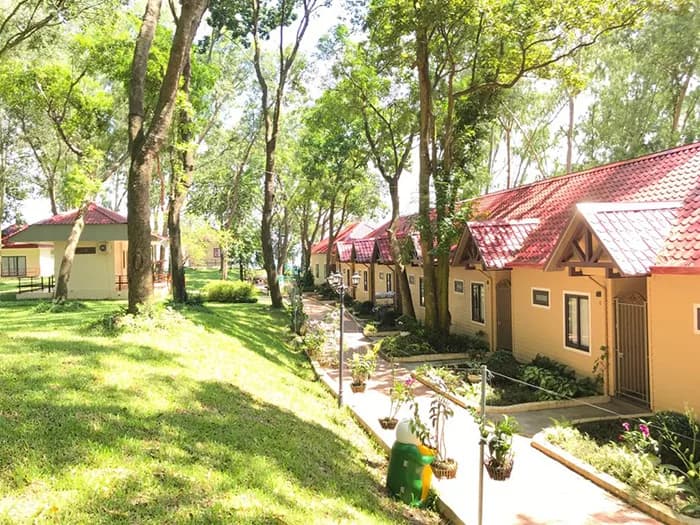Cottage mái ngói view vườn