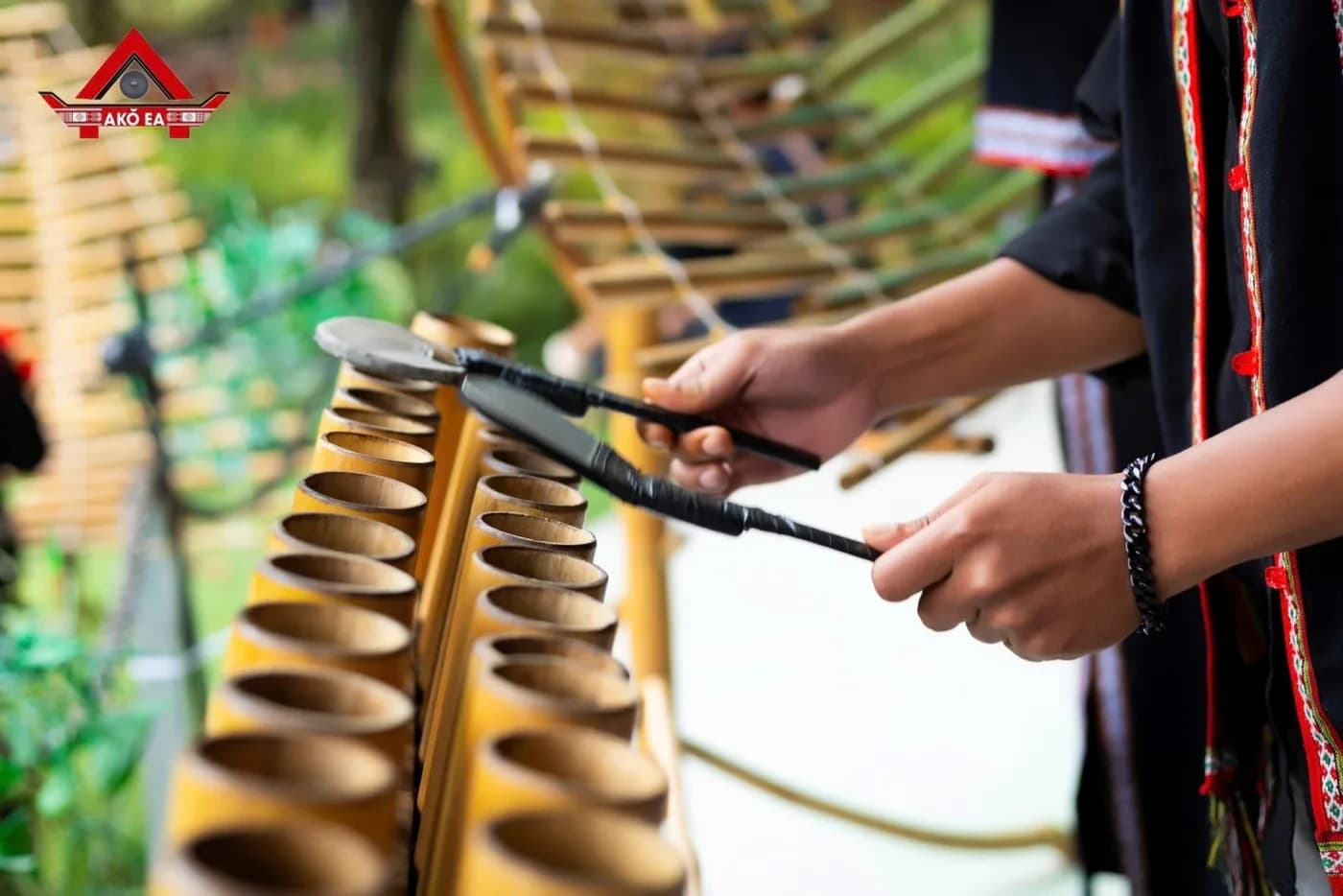 Hòa tấu nhạc cụ dân tộc