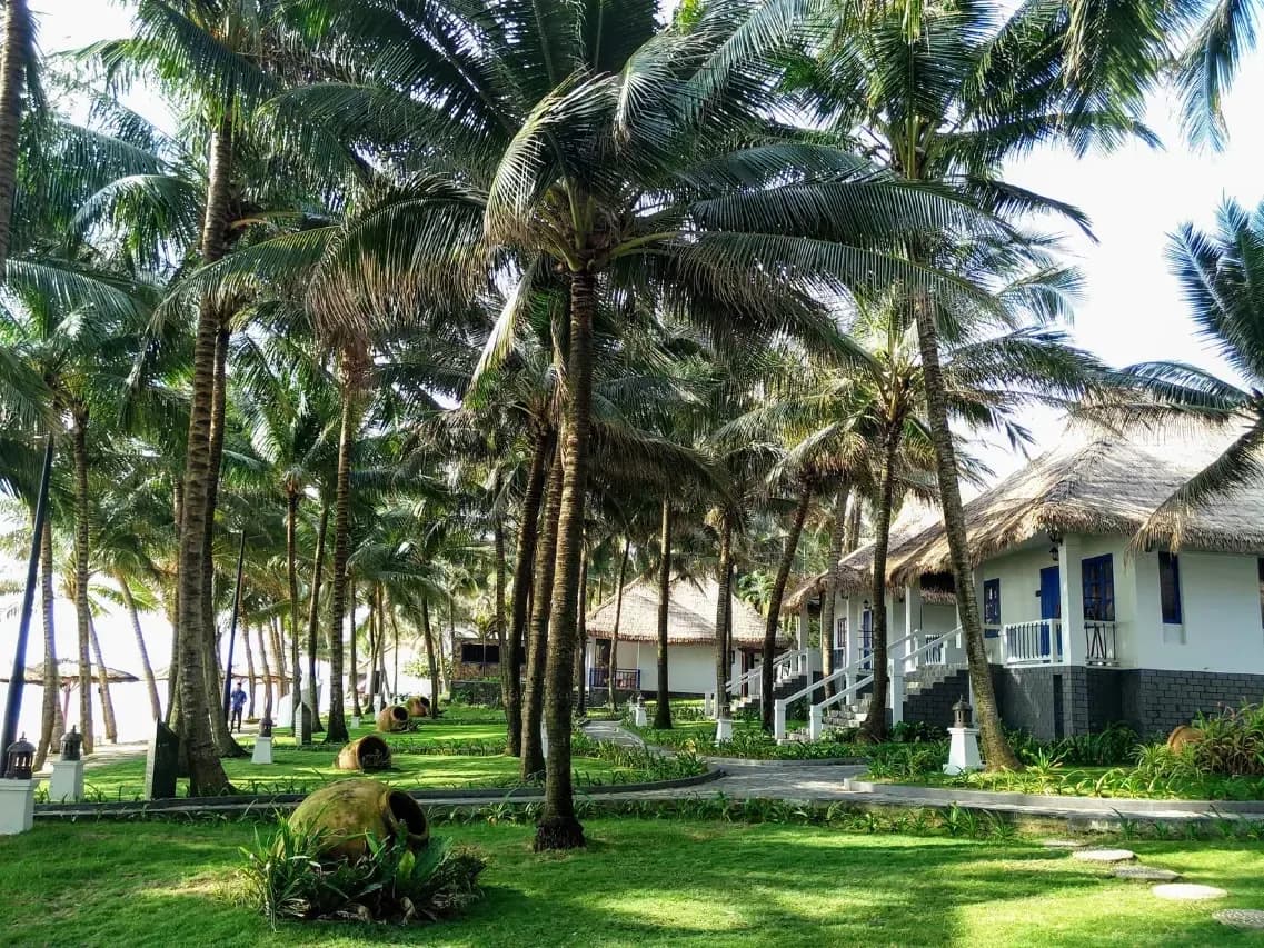 Bungalow mái lá giữa vườn dừa