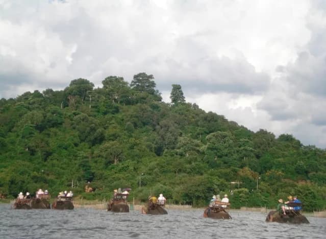 Cưỡi voi băng hồ