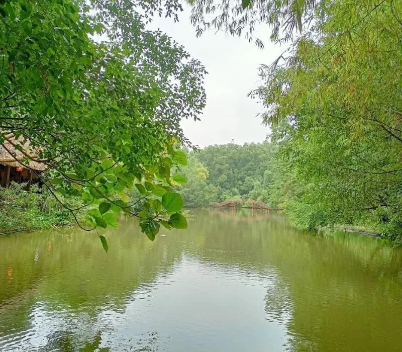 Làng nhà sàn Thái Hải