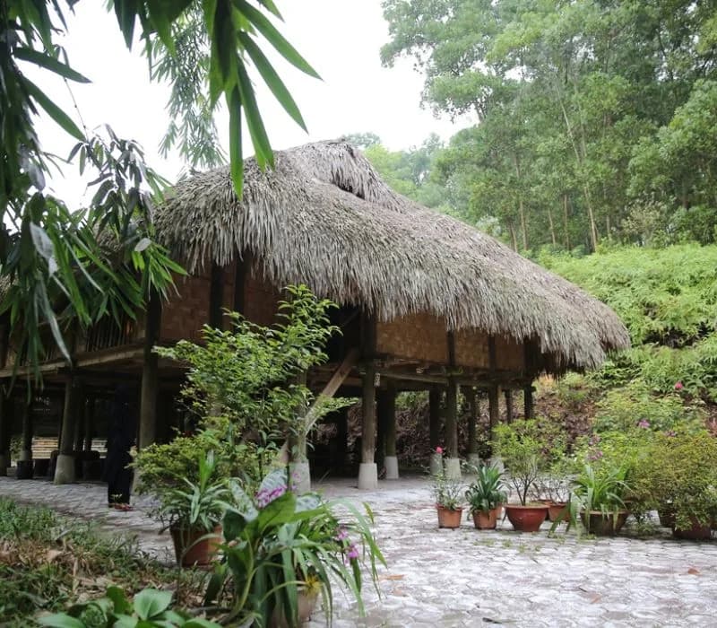 Gia đình về bản