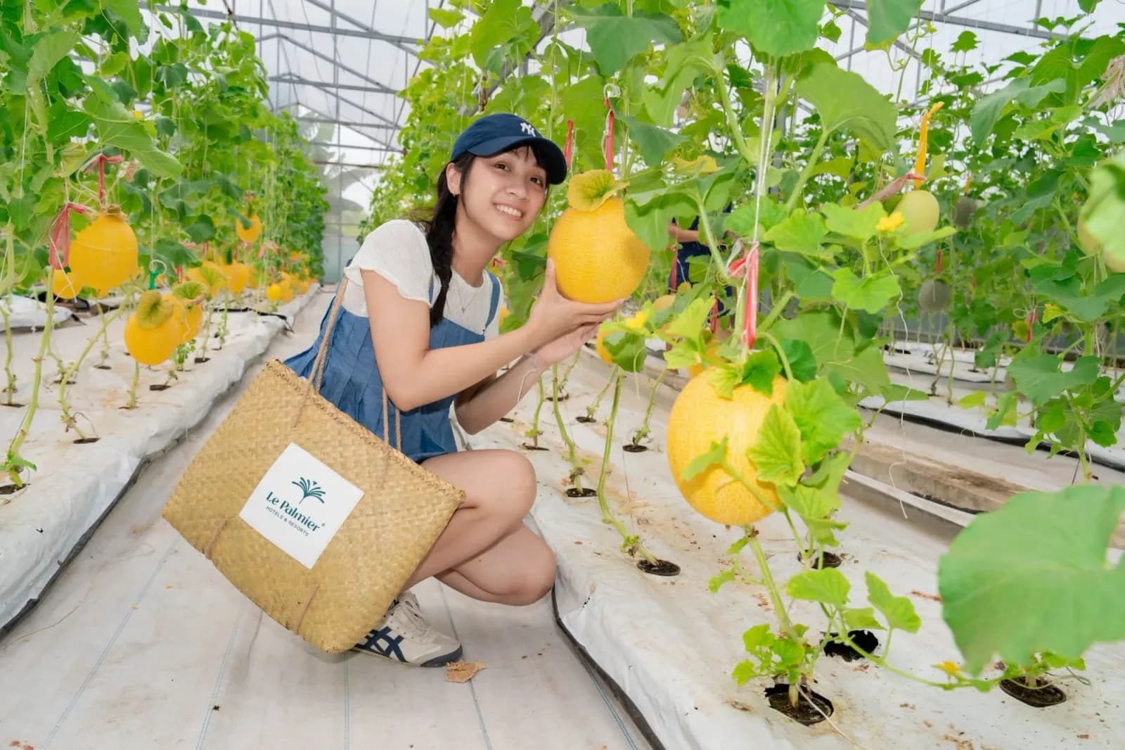 Vườn trái cây & rau organic