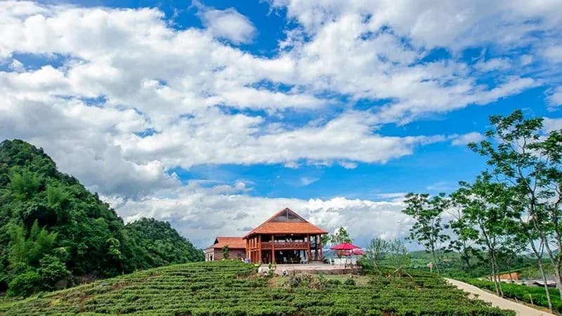 Nhà hàng & Bar trên đồi chè