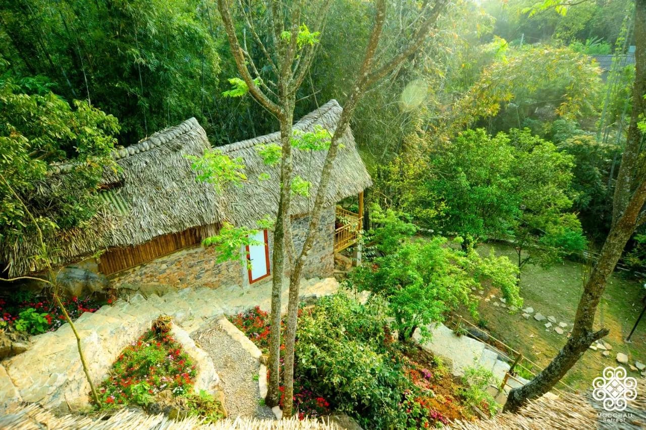 Bungalow tranh – đá – tre
