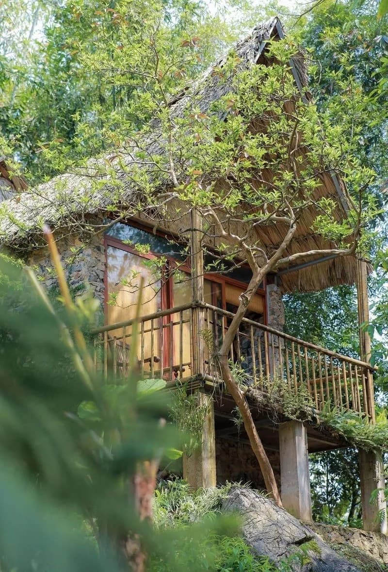 Suite Thanh Long – Bungalow gác