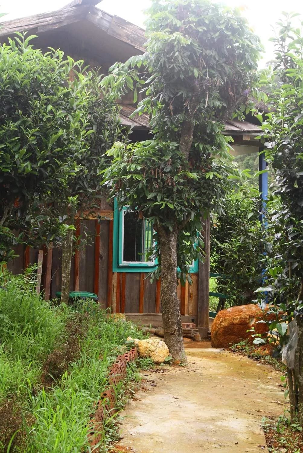 Bungalow Đôi Hướng Vườn