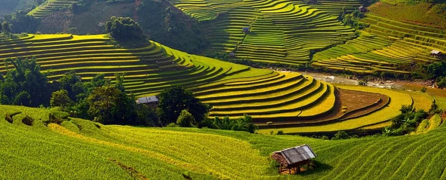 Săn lúa chín ruộng bậc thang