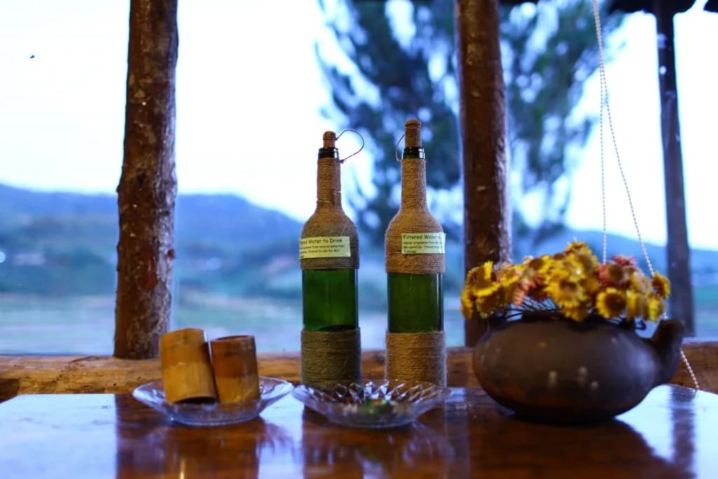 Quầy bar rượu ngô & trà thảo mộc