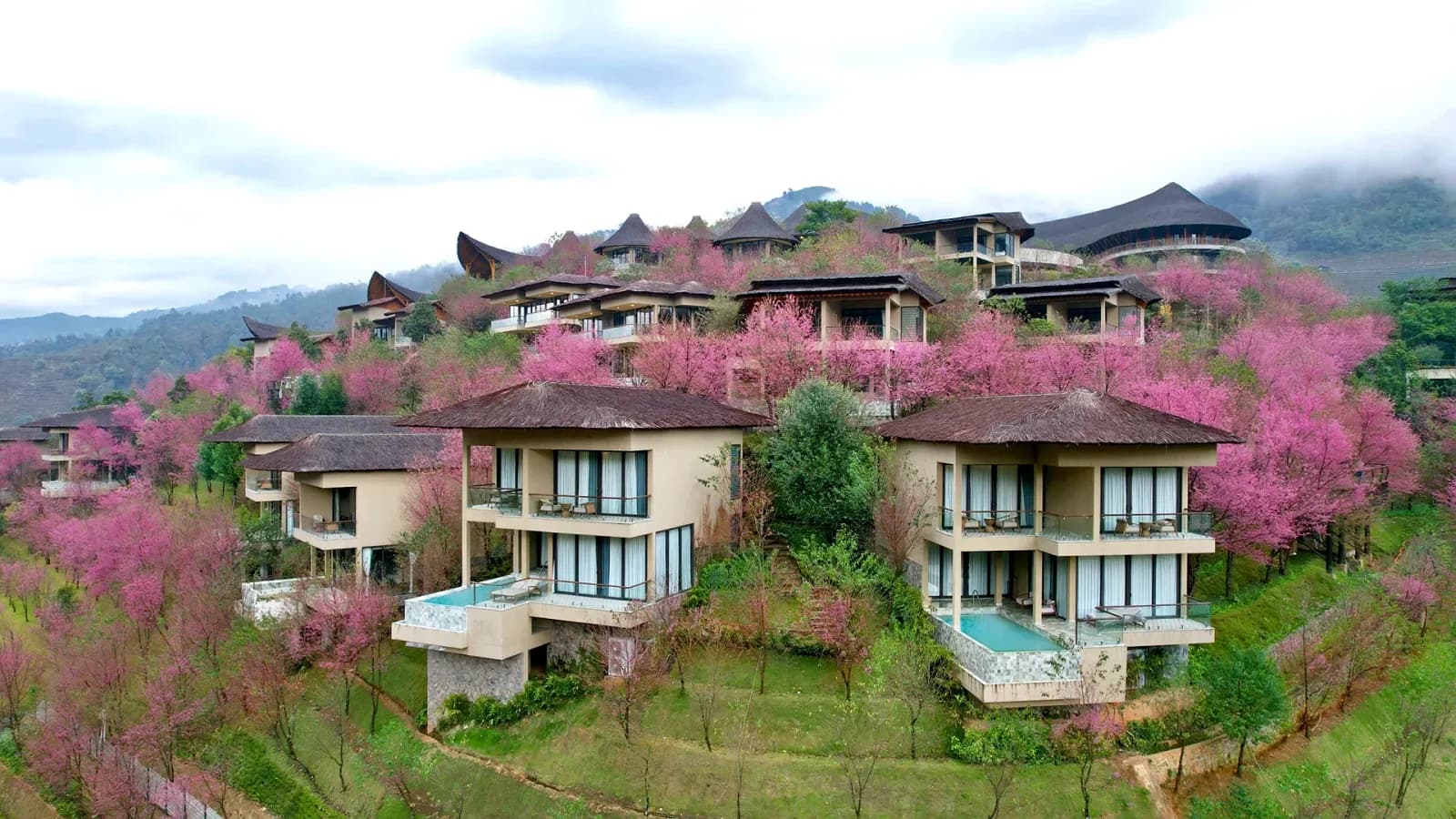 Mù Cang Chải Resort (La Pán Tẩn) 5