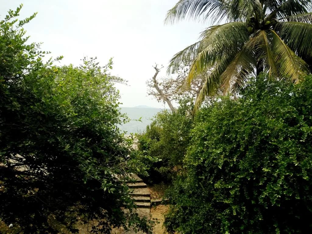 Lối riêng xuống bãi tắm