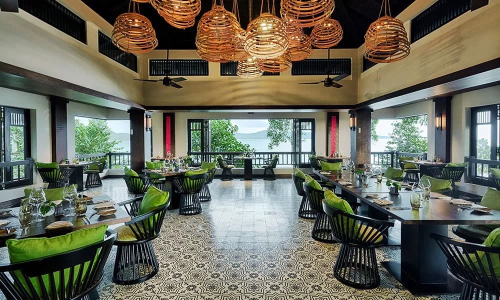 Ẩm thực Treehouse giữa tán cổ thụ
