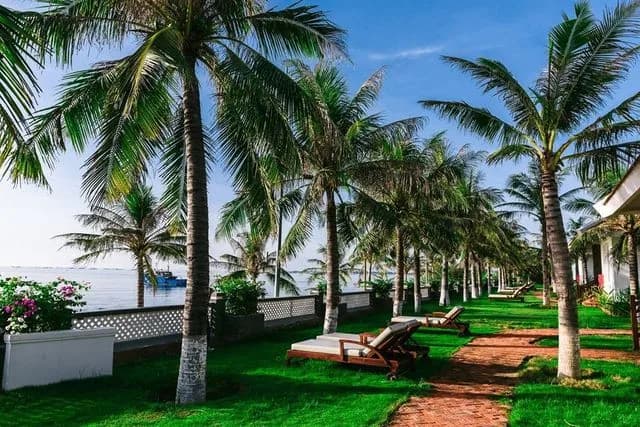 Vườn dừa ven biển