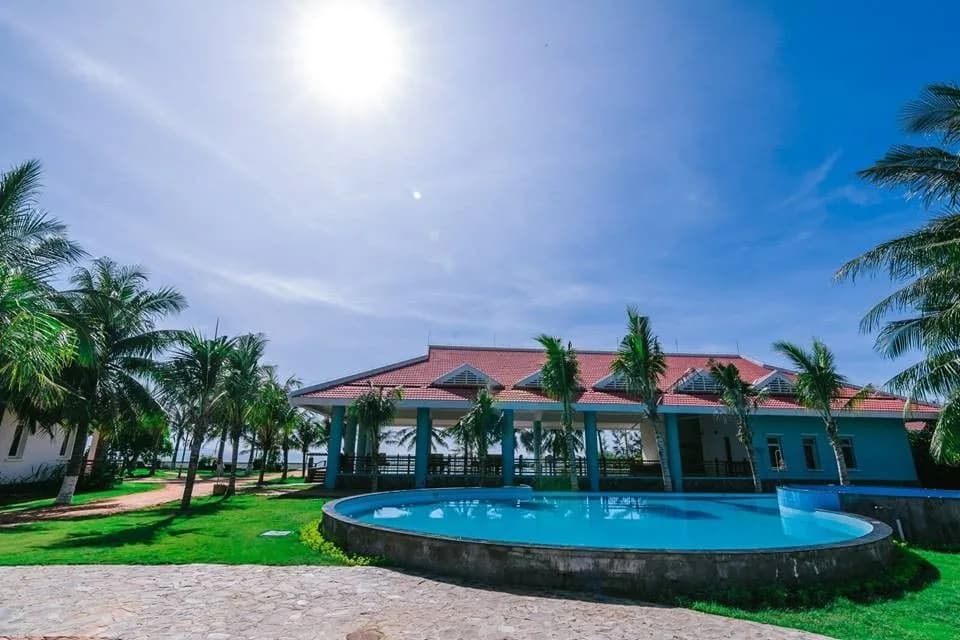 Hồ bơi giữa vườn dừa