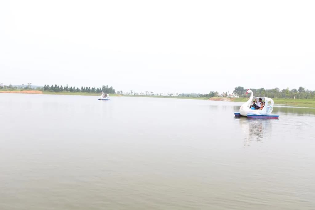 Chèo thuyền trên hồ