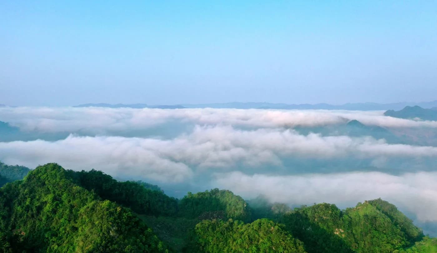 Săn mây rừng thông Bản Áng