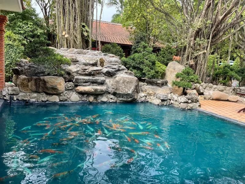 Hồ cá Koi & thác nước