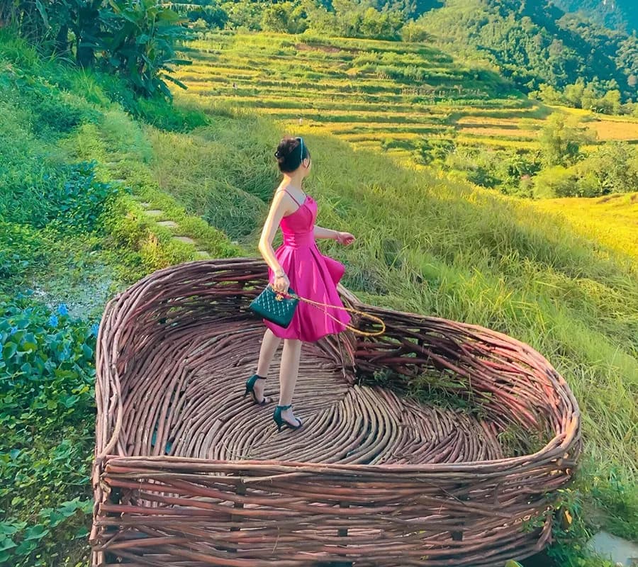 Ruộng bậc thang mùa vàng