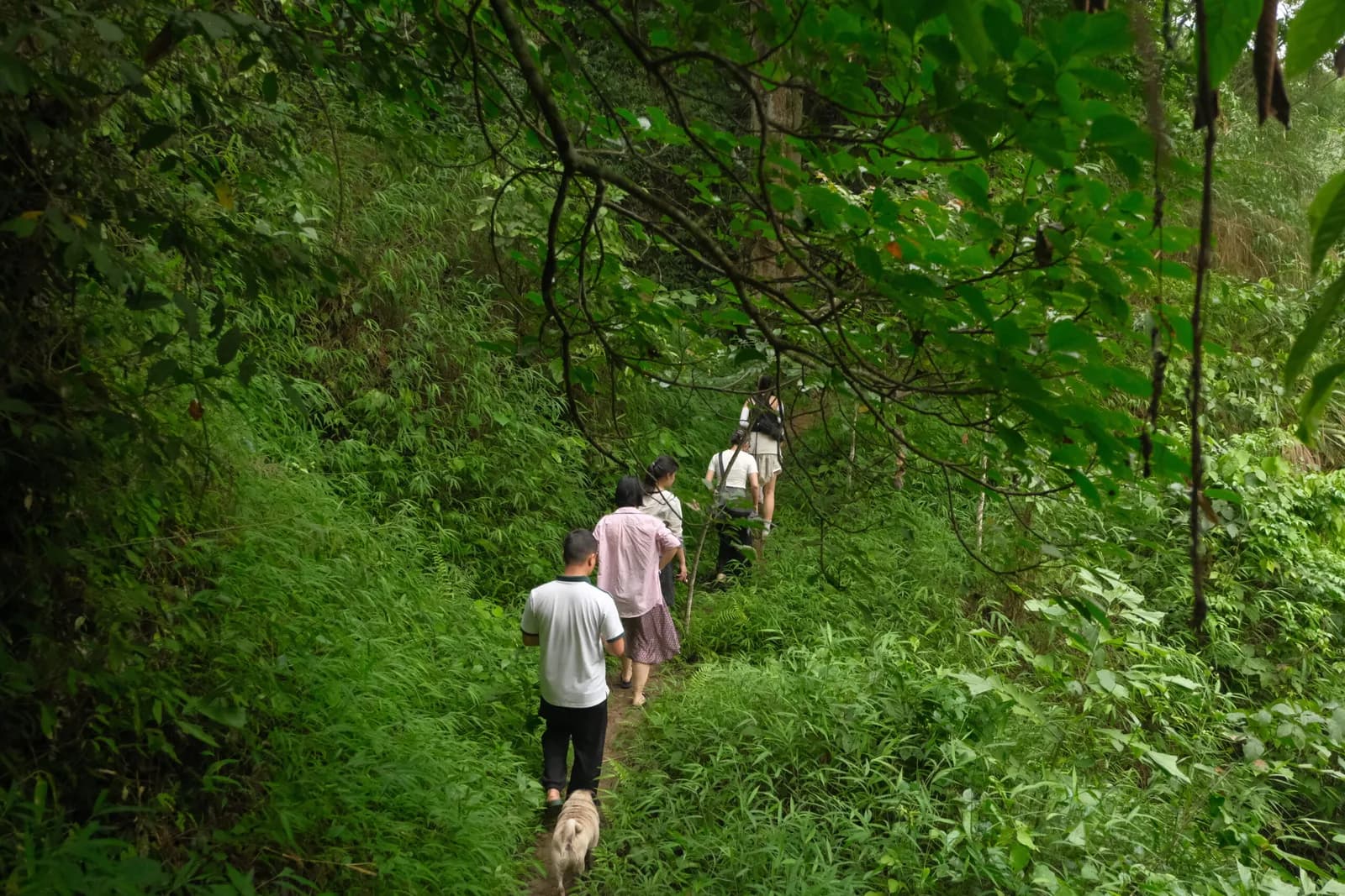 Trekking rừng nguyên sinh Pù Luông