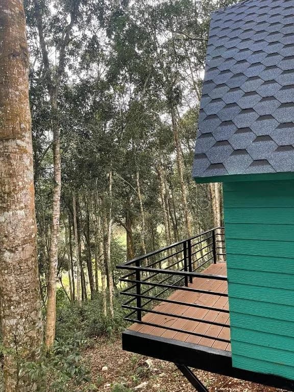 Combo Cặp Đôi A-Frame