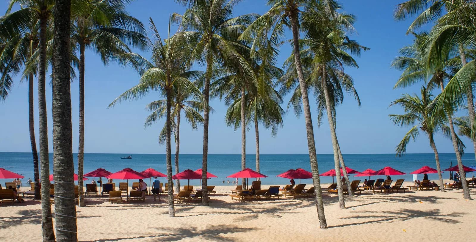Bãi biển riêng Bãi Trường