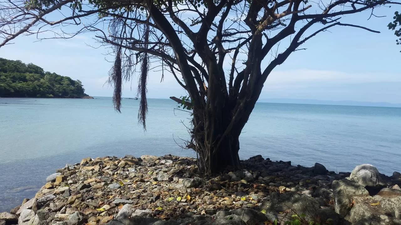Khám phá đảo riêng bằng canô