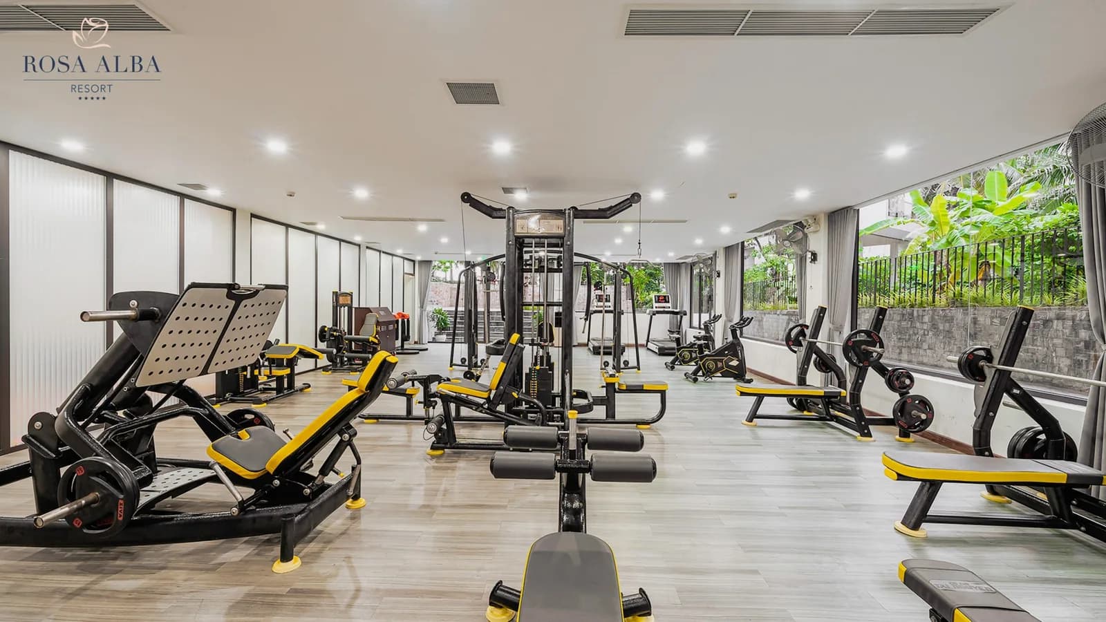 Phòng gym hiện đại