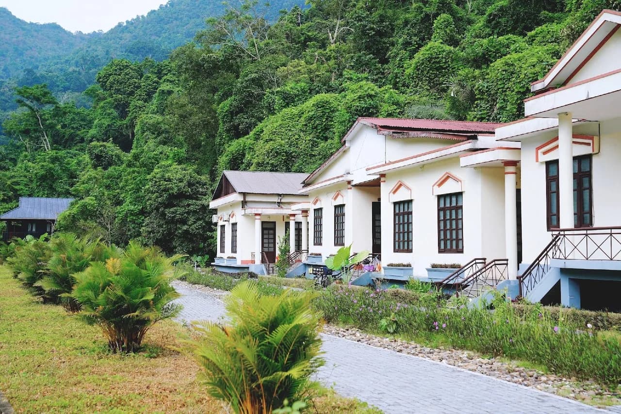 Làng nhà gỗ Pé Lèng